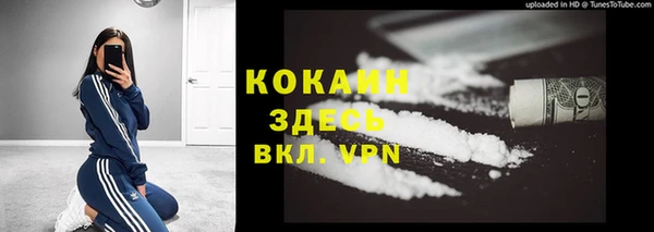 сатива Армянск