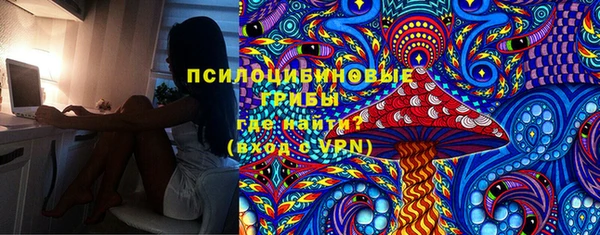 сатива Михайловск