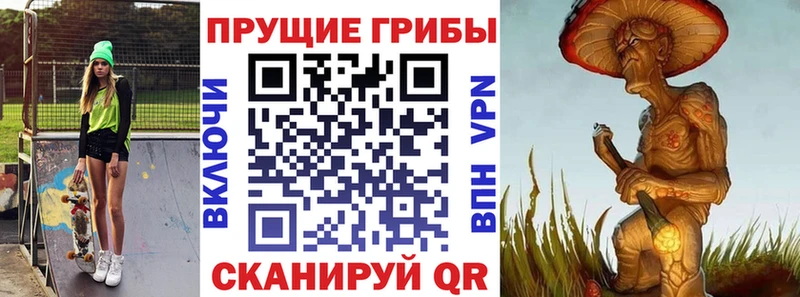 купить наркоту Кинель Галлюциногенные грибы Psilocybine cubensis