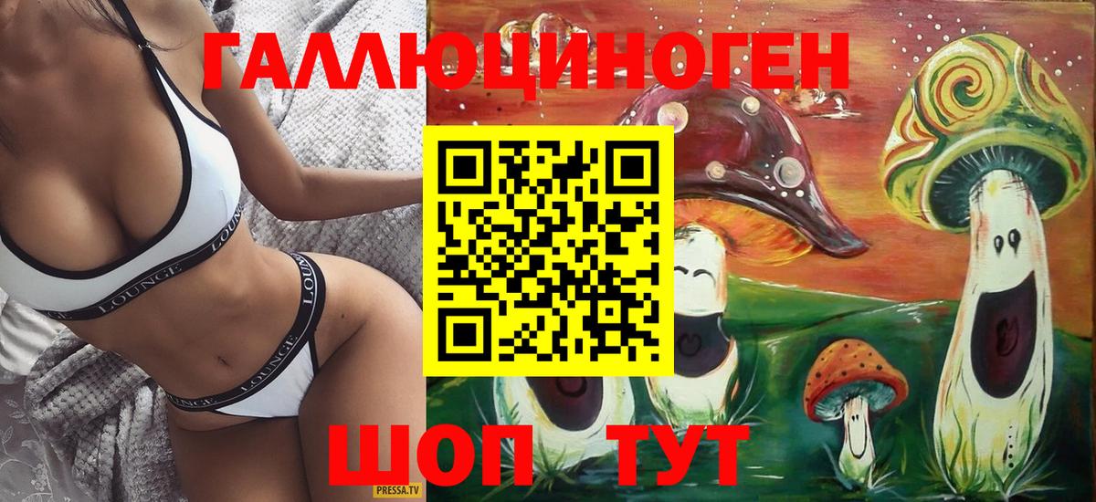 Псилоцибиновые грибы Psilocybe Кинель