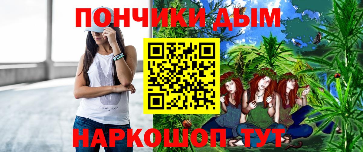 Конопля сатива Кинель